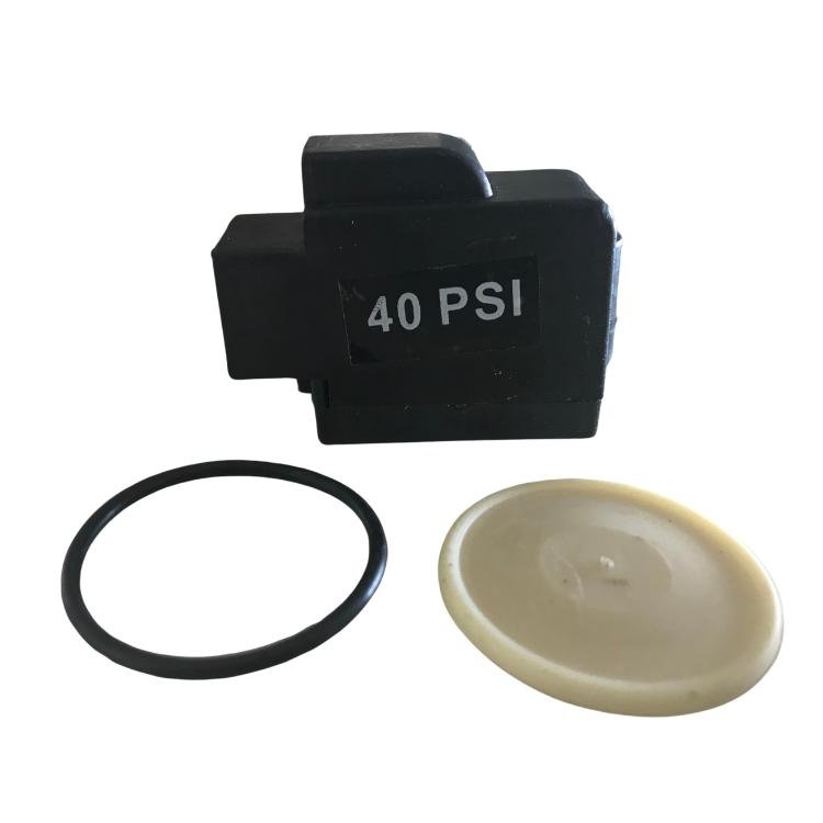 Escaping Outdoors 12v pump 40 psi type 3 pressure switch and seal kit